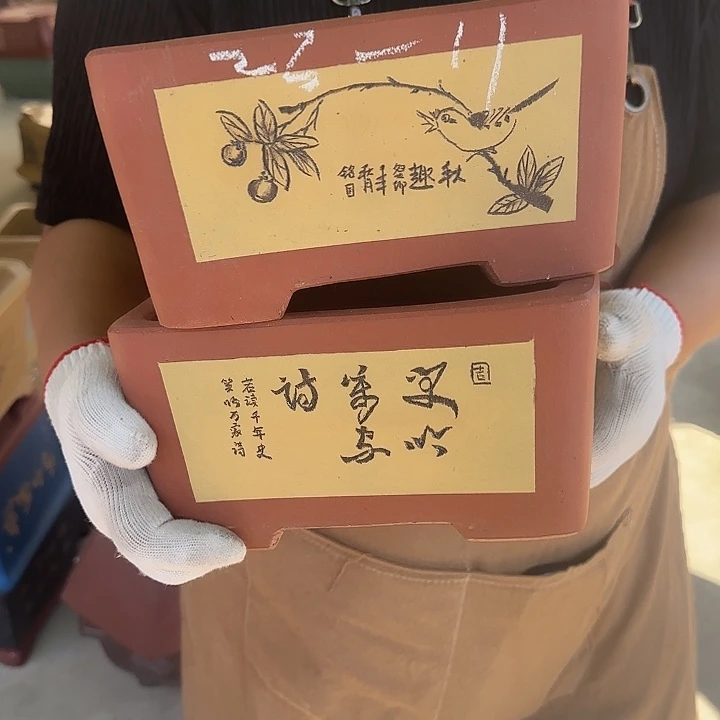 真的想看这篇了哈哈