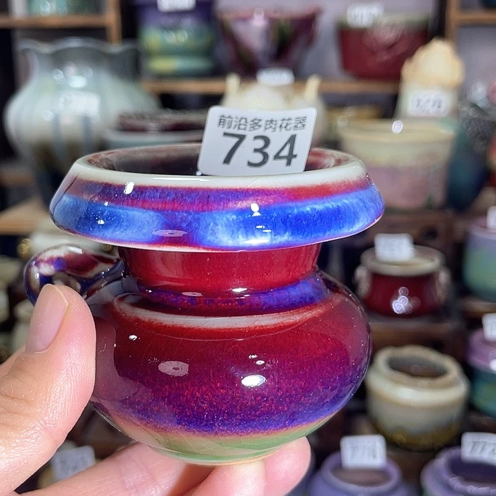 红陶内口径6高度6