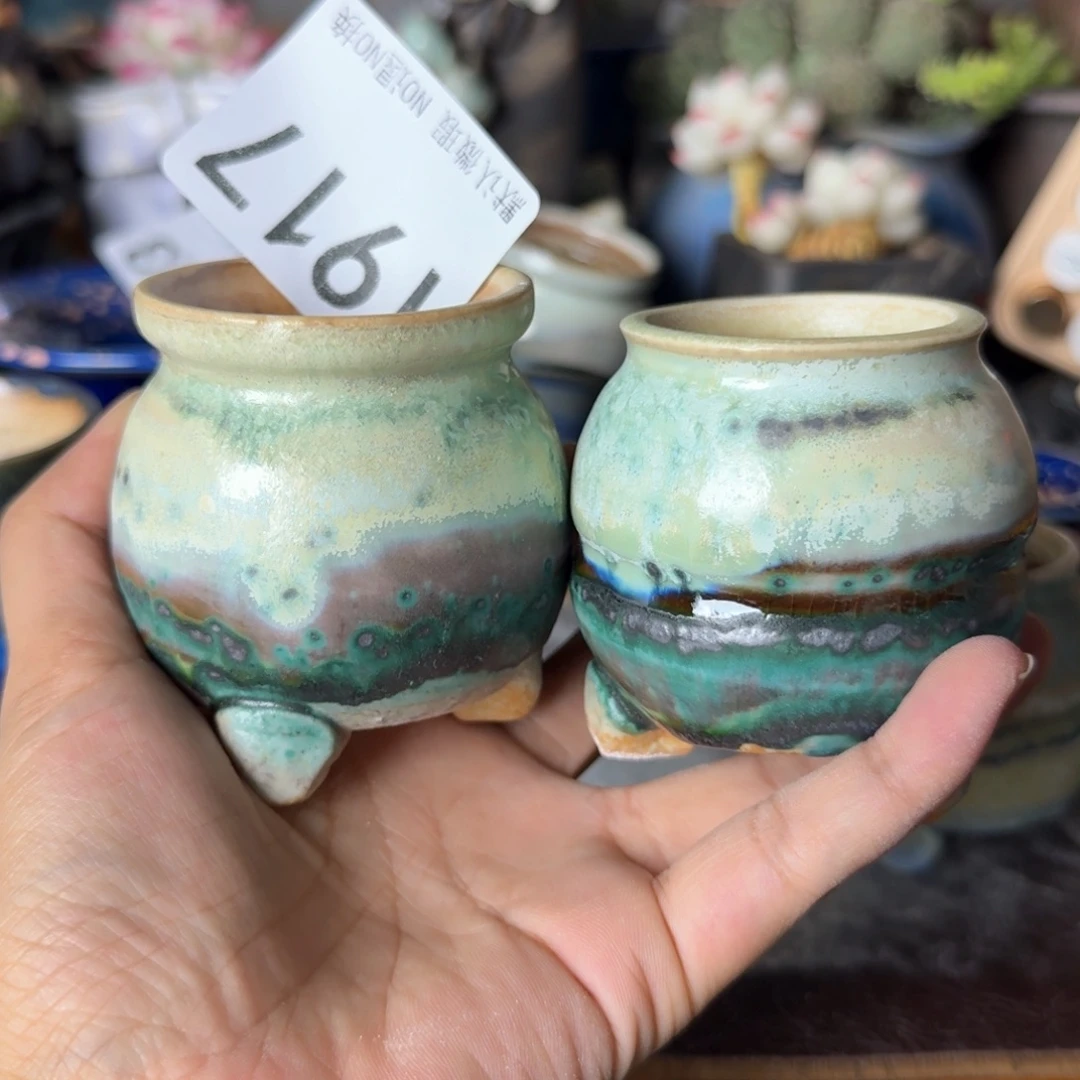 重庆小燕子欢迎大家917