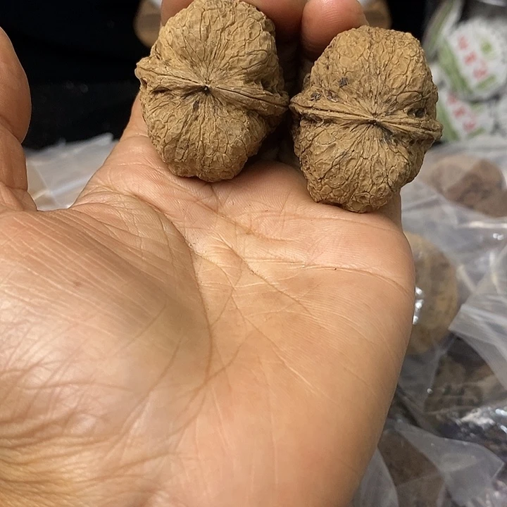核桃云南铁核桃基地75