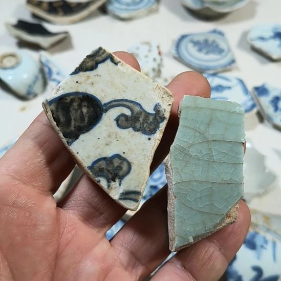 龍***者瓷片瓷片瓷片瓷片瓷片