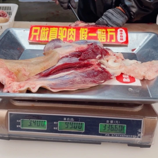 【闪购商品】冷冻保存30天包装河北省