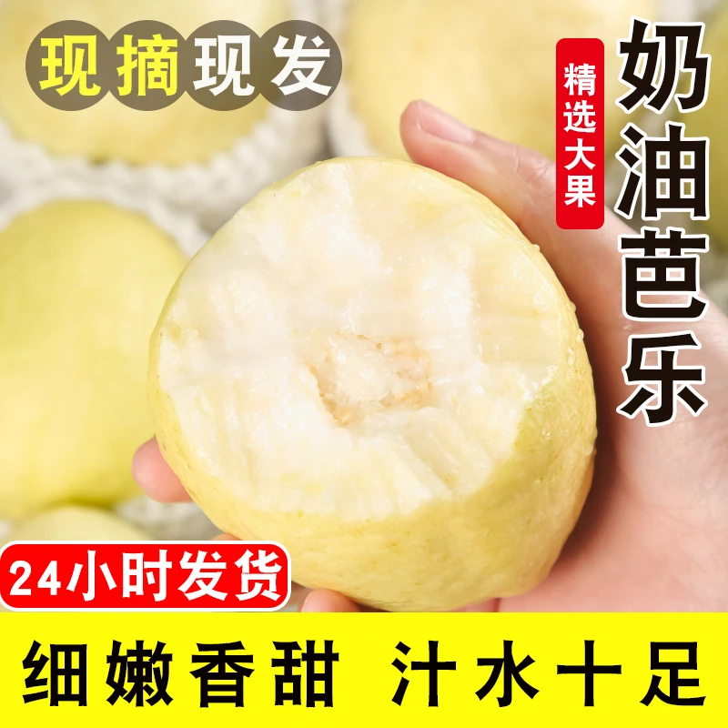 正宗广西奶油冰激淋芭乐水果番石榴产地直发软糯香甜新鲜当季水果