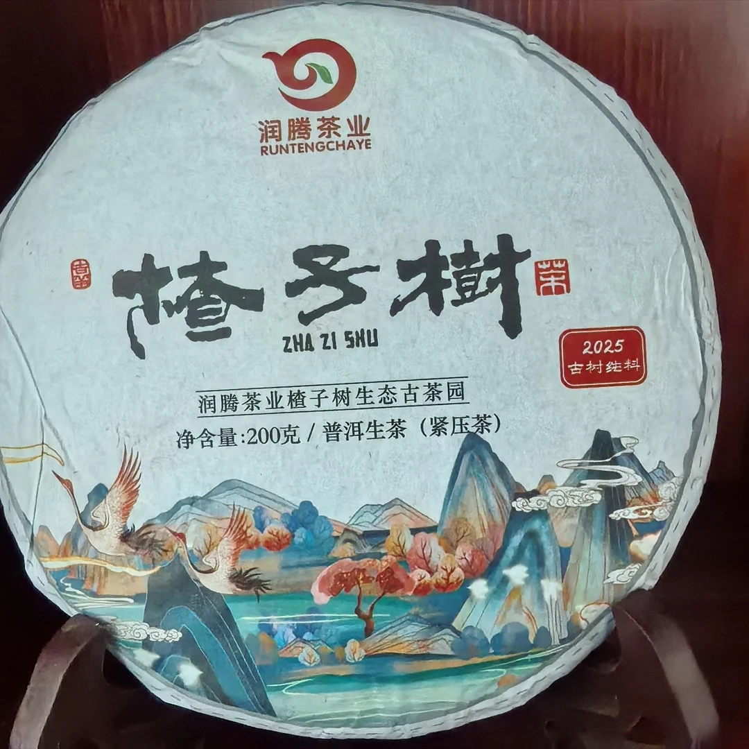 头春古树纯料普洱茶浓厚香醇老板款老茶客必备高端办公茶