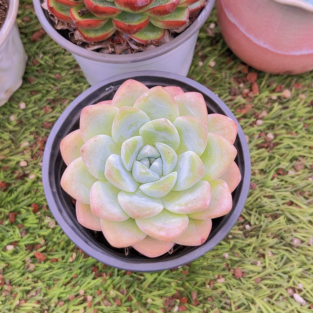 18号788888888888888887