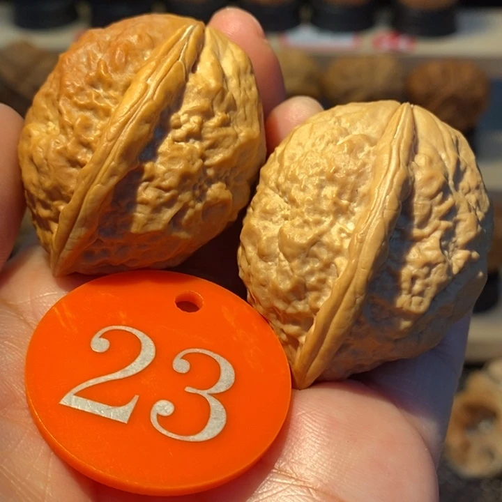 21号观音佛手36尺寸