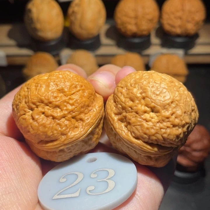 帝王蟾39尺寸核桃