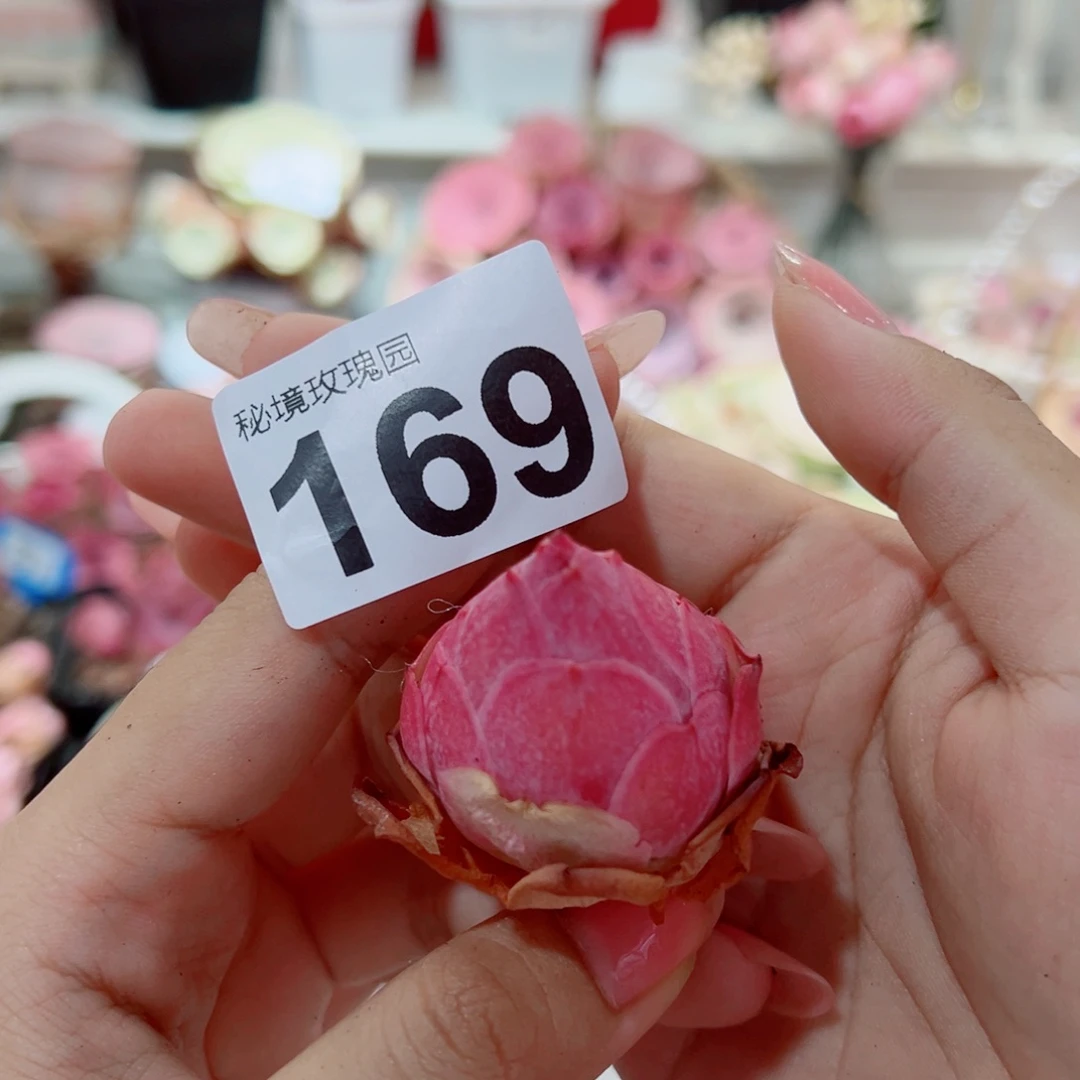 169紫桃单棵。