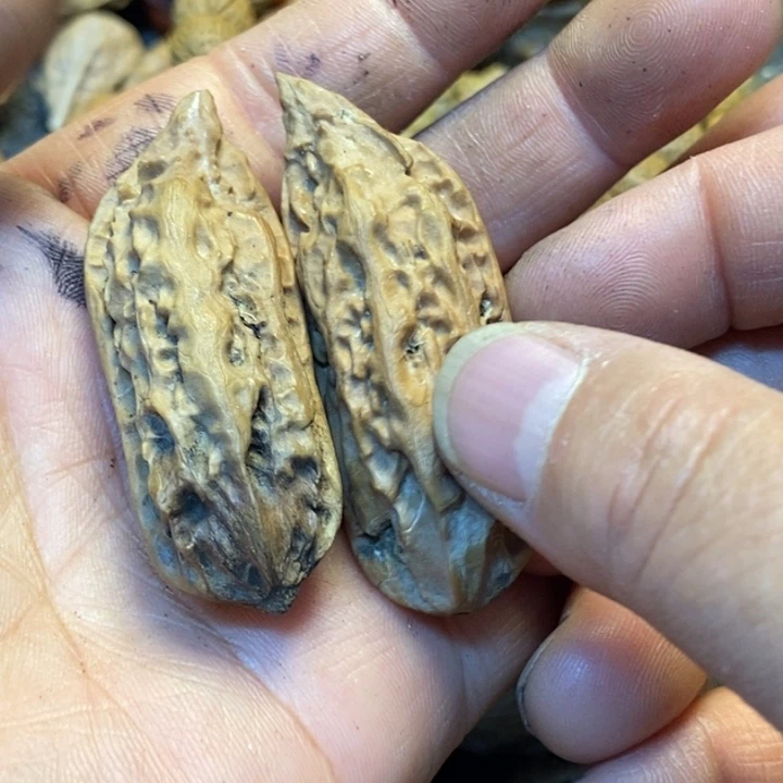 ****n吊坠桃核娜姐真的154