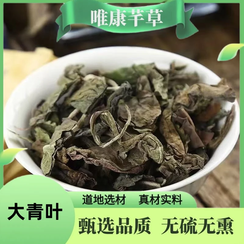 芊草 【大青叶】 精选大青叶蓝叶蓝菜新鲜大青叶干货另售鱼腥草