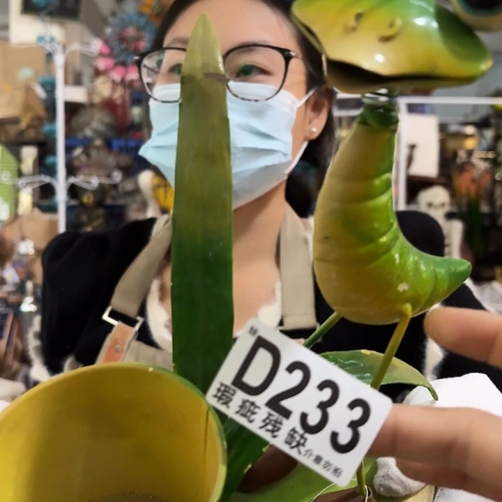 核桃木/黑胡桃（胡桃木）