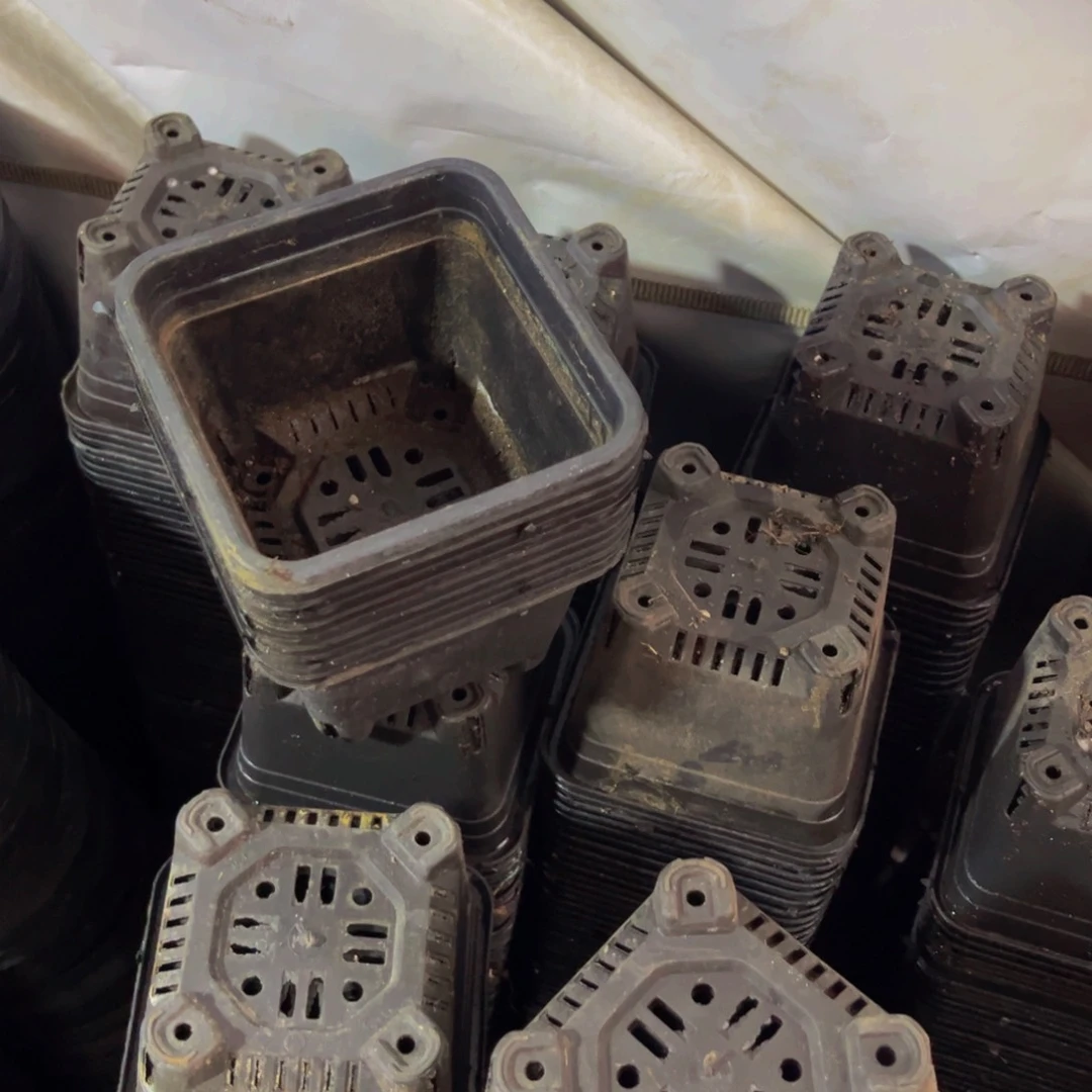 旧口径12黑方盆30个