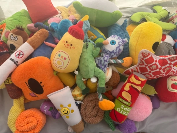 【no退no换】狗狗发声解闷玩具耐咬