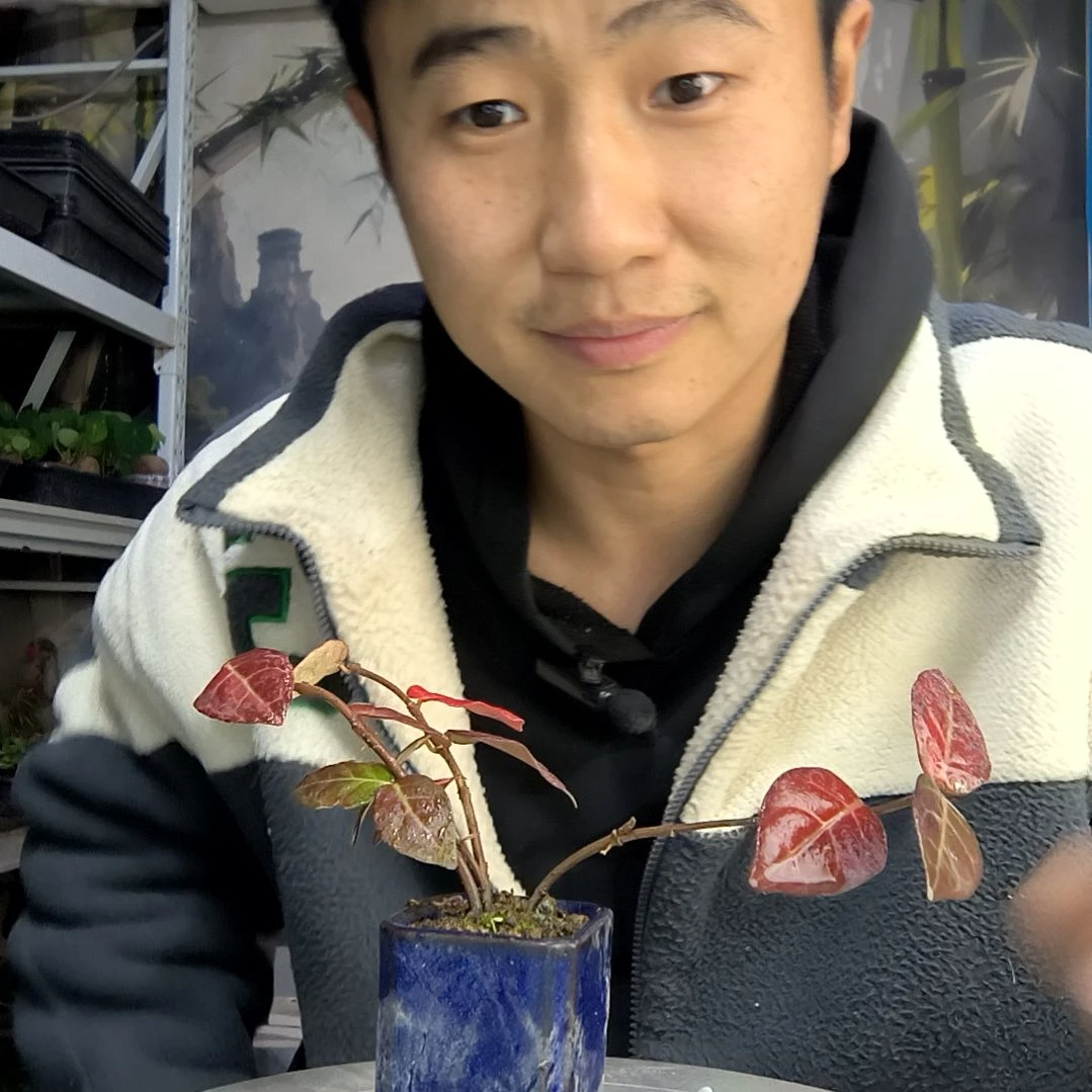 3**9中青园艺一物一拍12