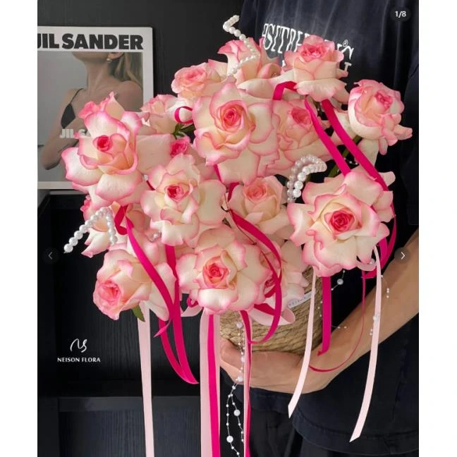 超巨（定制精选）艾莎单头玫瑰 --含羞仙子 温柔而美丽