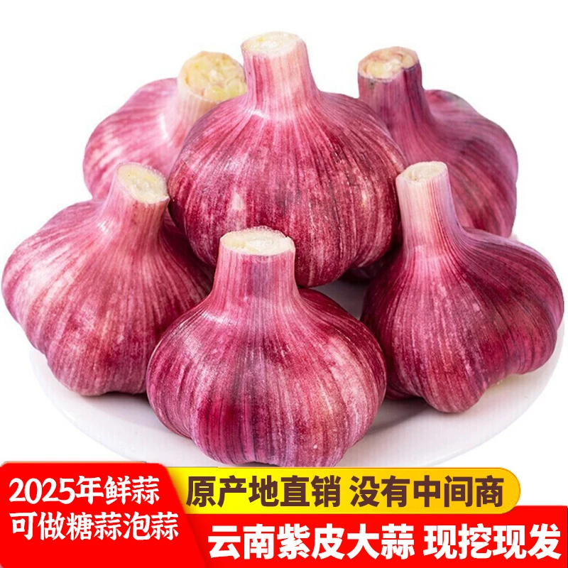 A2025年云南新鲜大蒜头蔬菜香蒜现挖可腌糖蒜腊八蒜3斤5斤