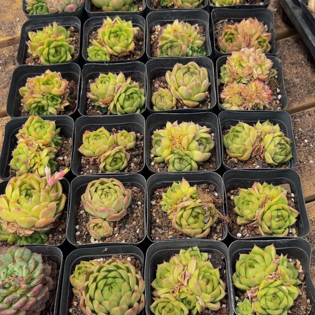 576的人了还在看电视吗我