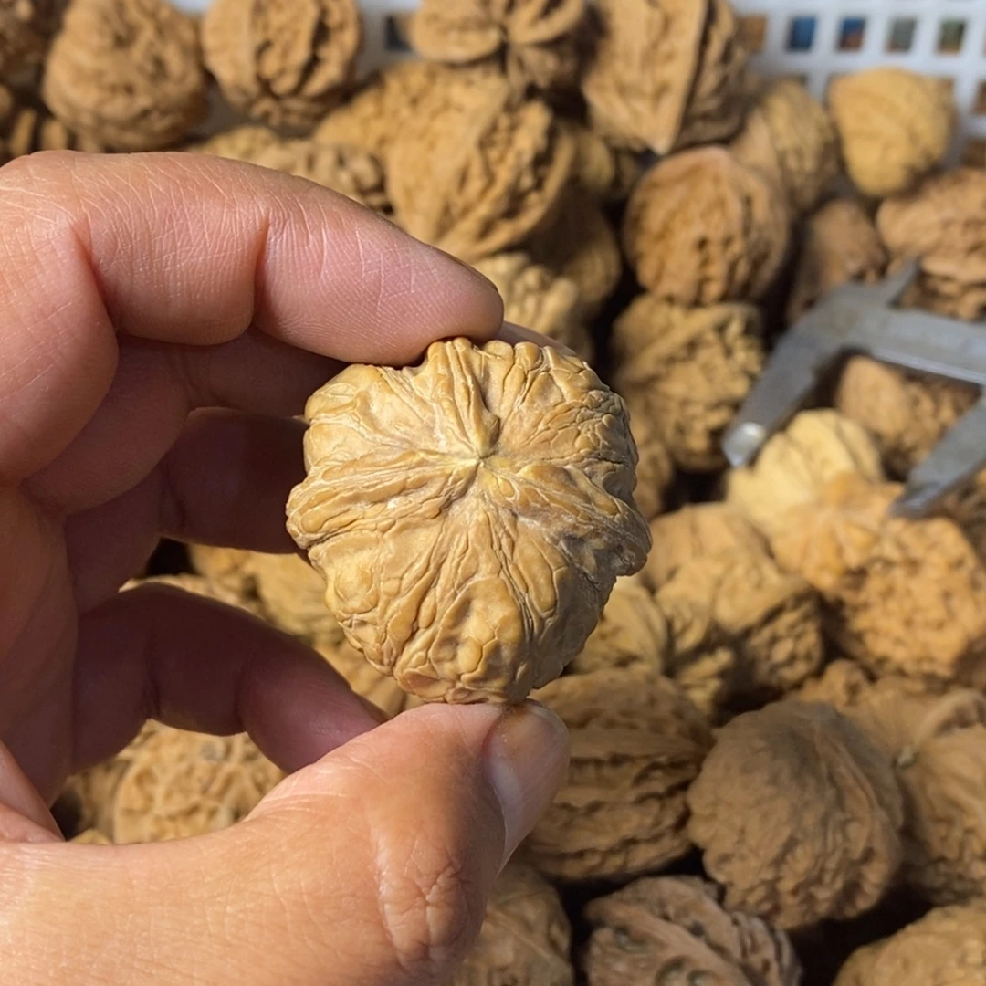 弈***星大叶紫檀（黑酸枝木类）