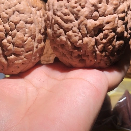 用***户橄榄核把件脑纹金刚菩提