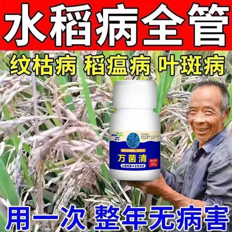 水稻稻瘟病稻曲病纹枯病矮缩病水稻病全治黄叶病花生膨壮粒粒饱