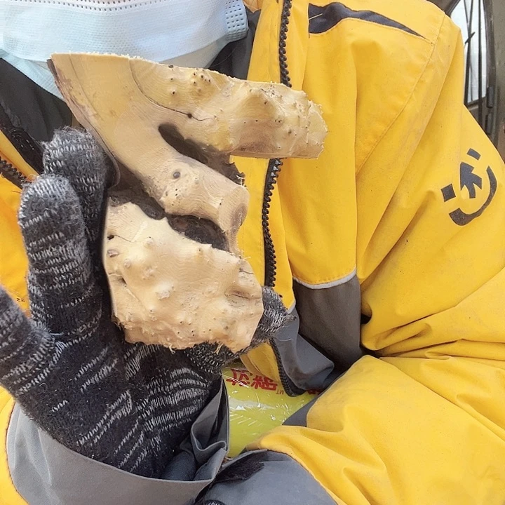 香榧木发个短信吧你也不理