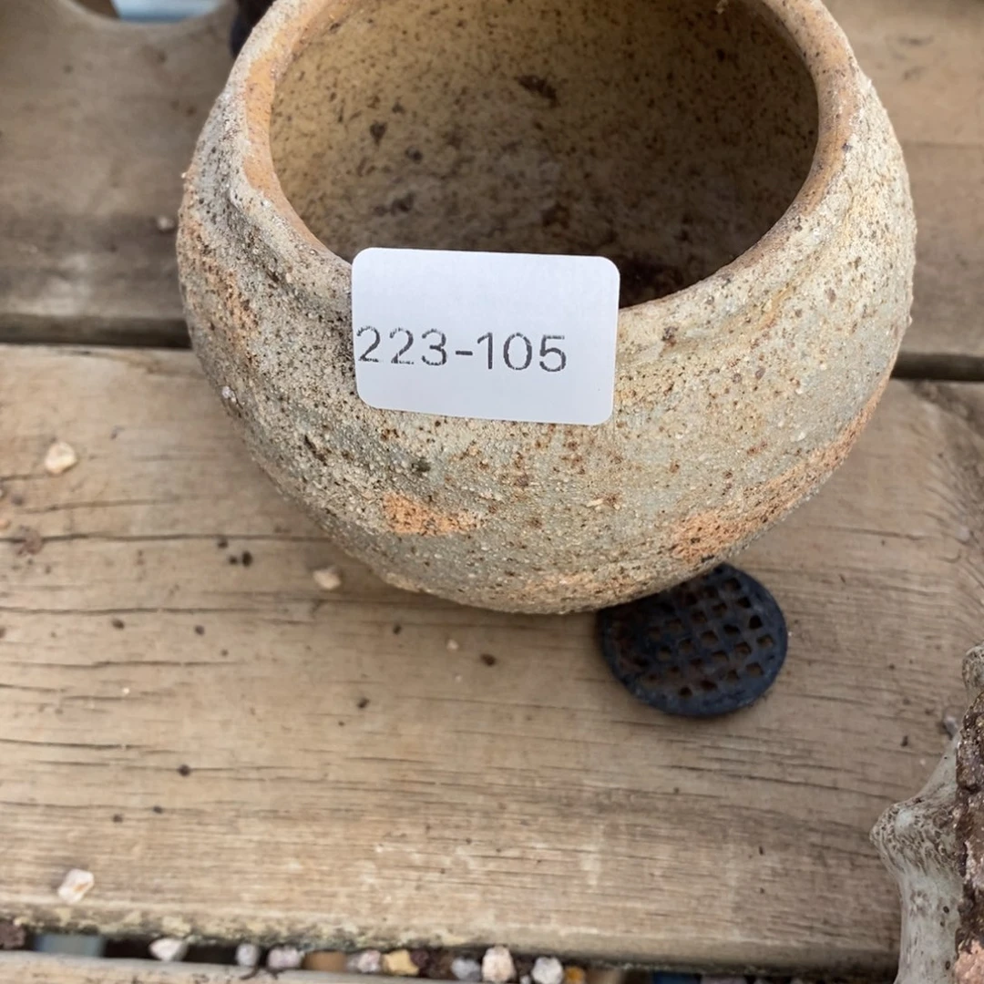 红陶t*105号的多肉花盆一个