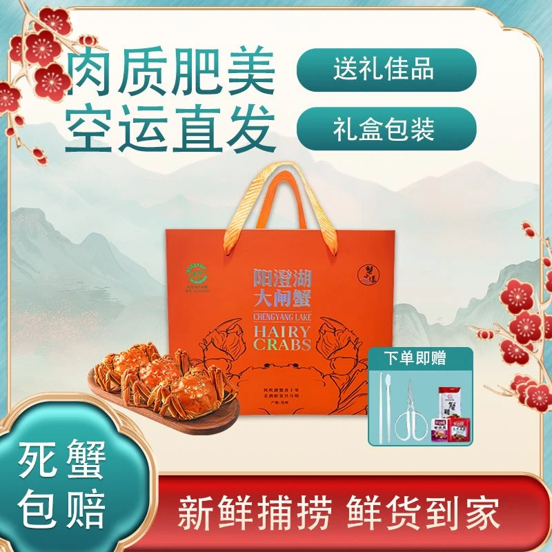 【活蟹现发】阳澄湖大闸蟹母蟹3.0两 8只装10只装 冷链发货 塘养T