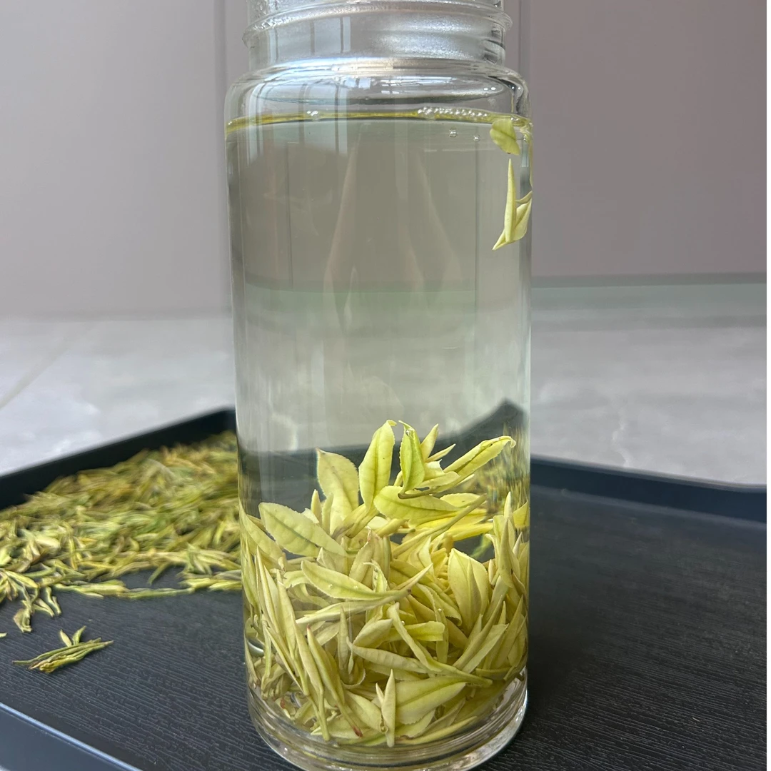 2025年奶白顶芽新茶黄金芽溪龙核心产区春茶