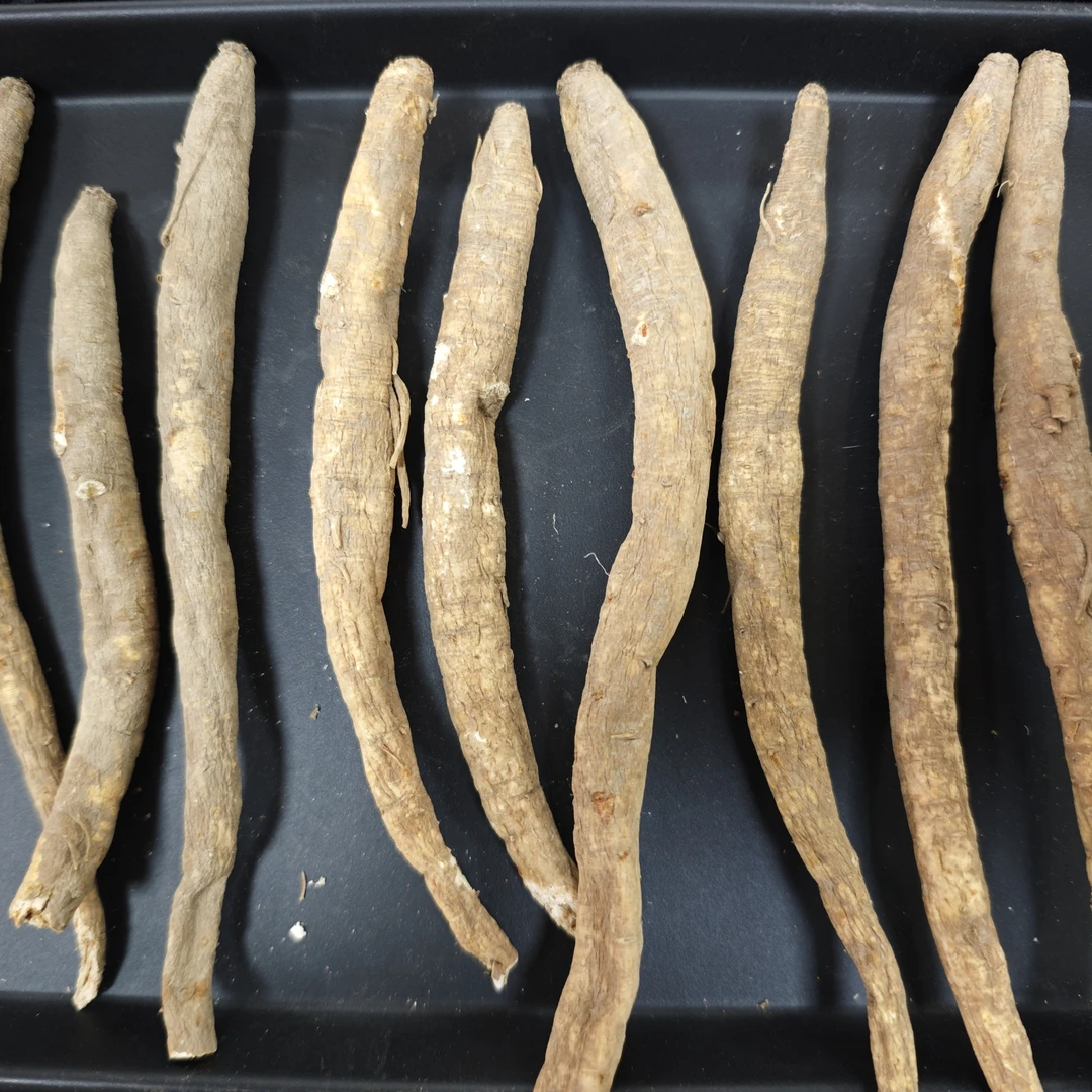 云南干货甜当归