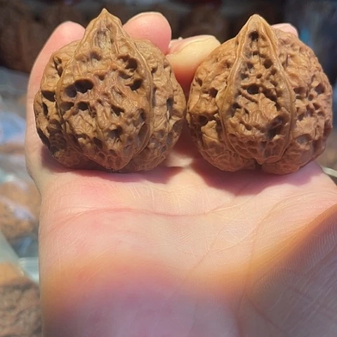 文玩核桃把件鬼姬异形38带彩