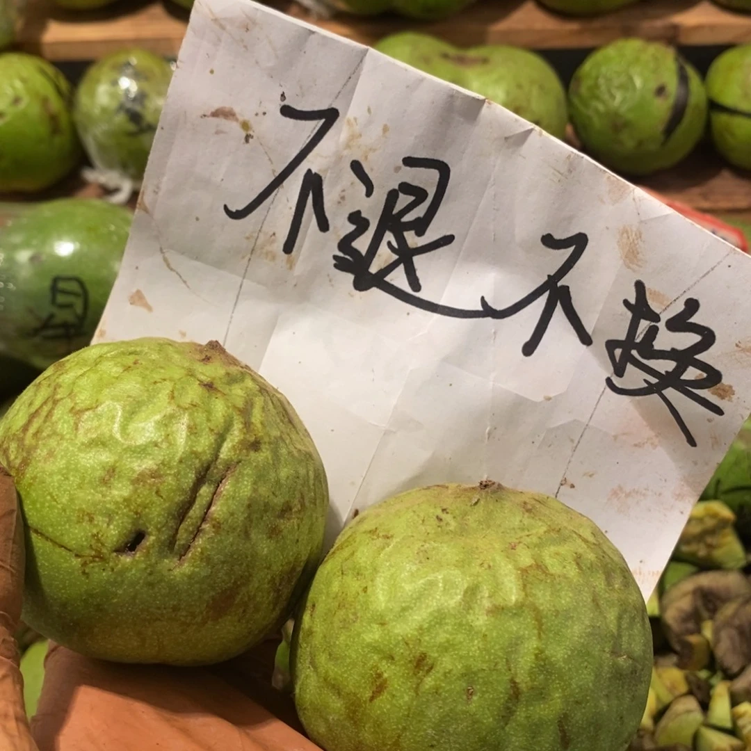 B***n陶瓷大粗筋不退不换