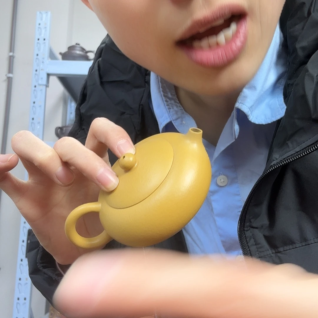 紫砂茶壶民间手艺人全手工制作