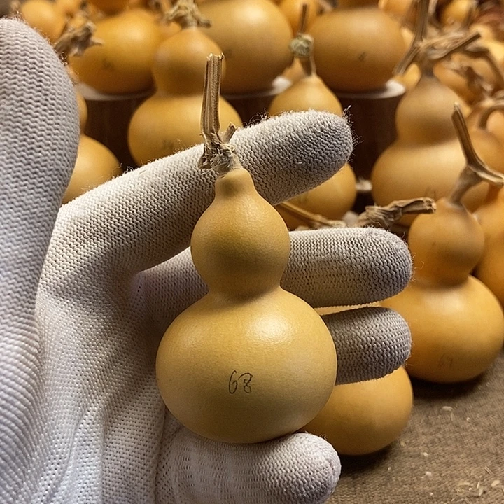 文玩葫芦 完美主义者 慎拍68