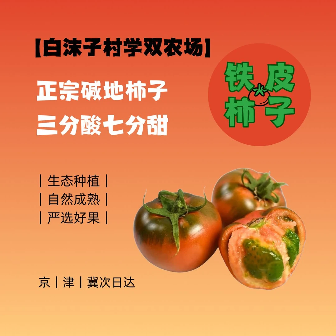 【千妈专属】铁皮柿子（小店）5斤小时候味道番茄碱地现摘铁皮柿子