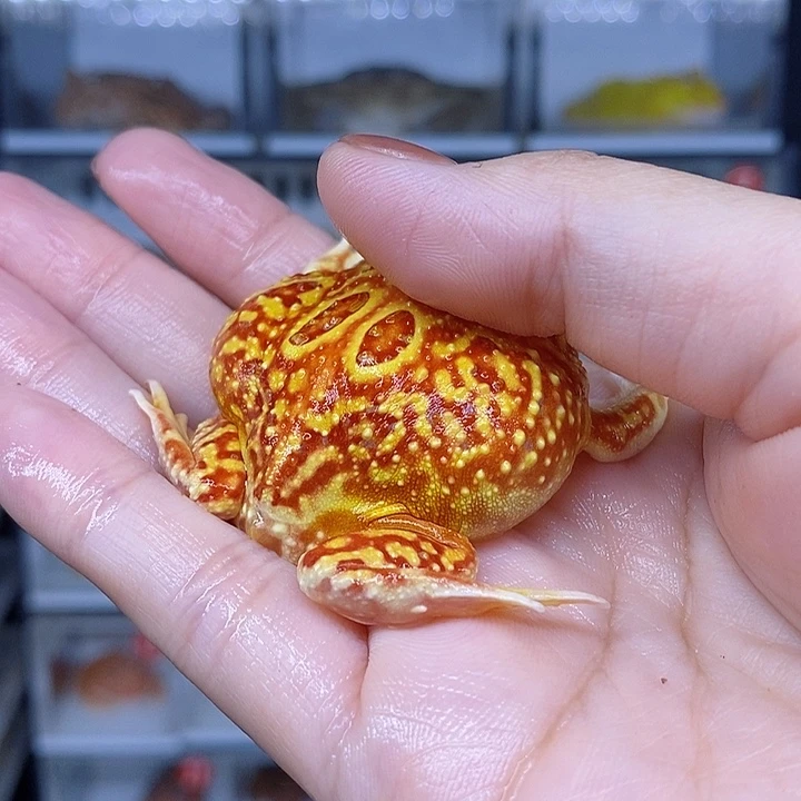 特价秒杀现货特价