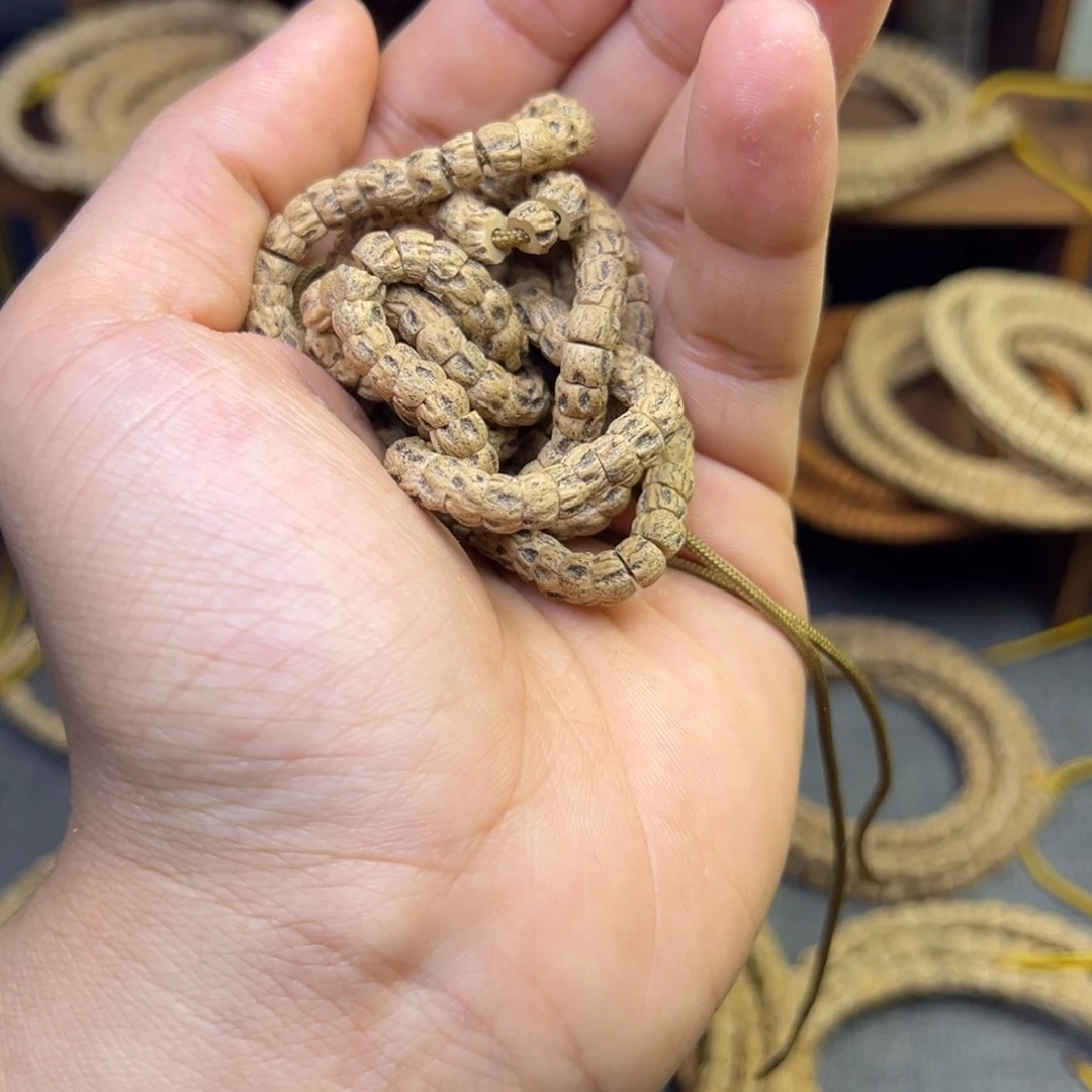 柏木2*“柏柏柏柏柏柏柏柏