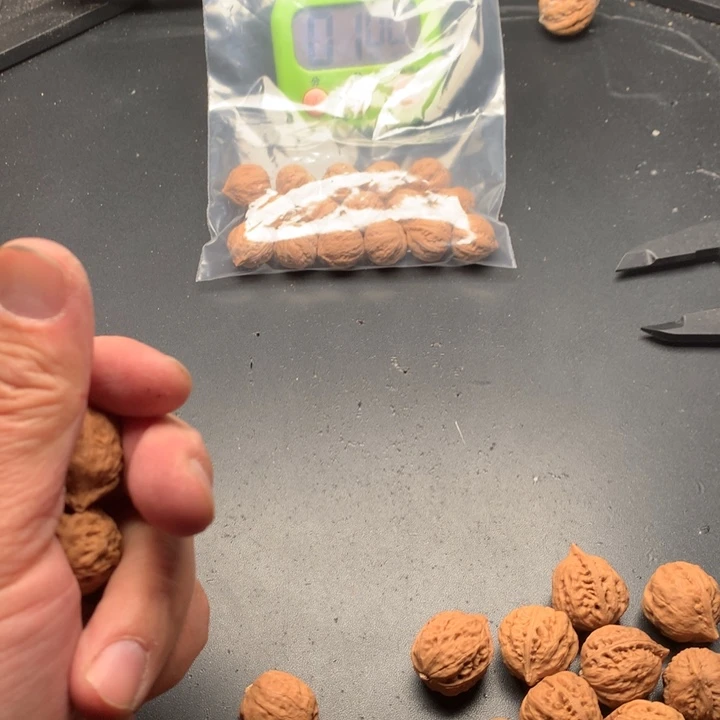 文玩核桃吊坠J****F野生精品小核桃散籽