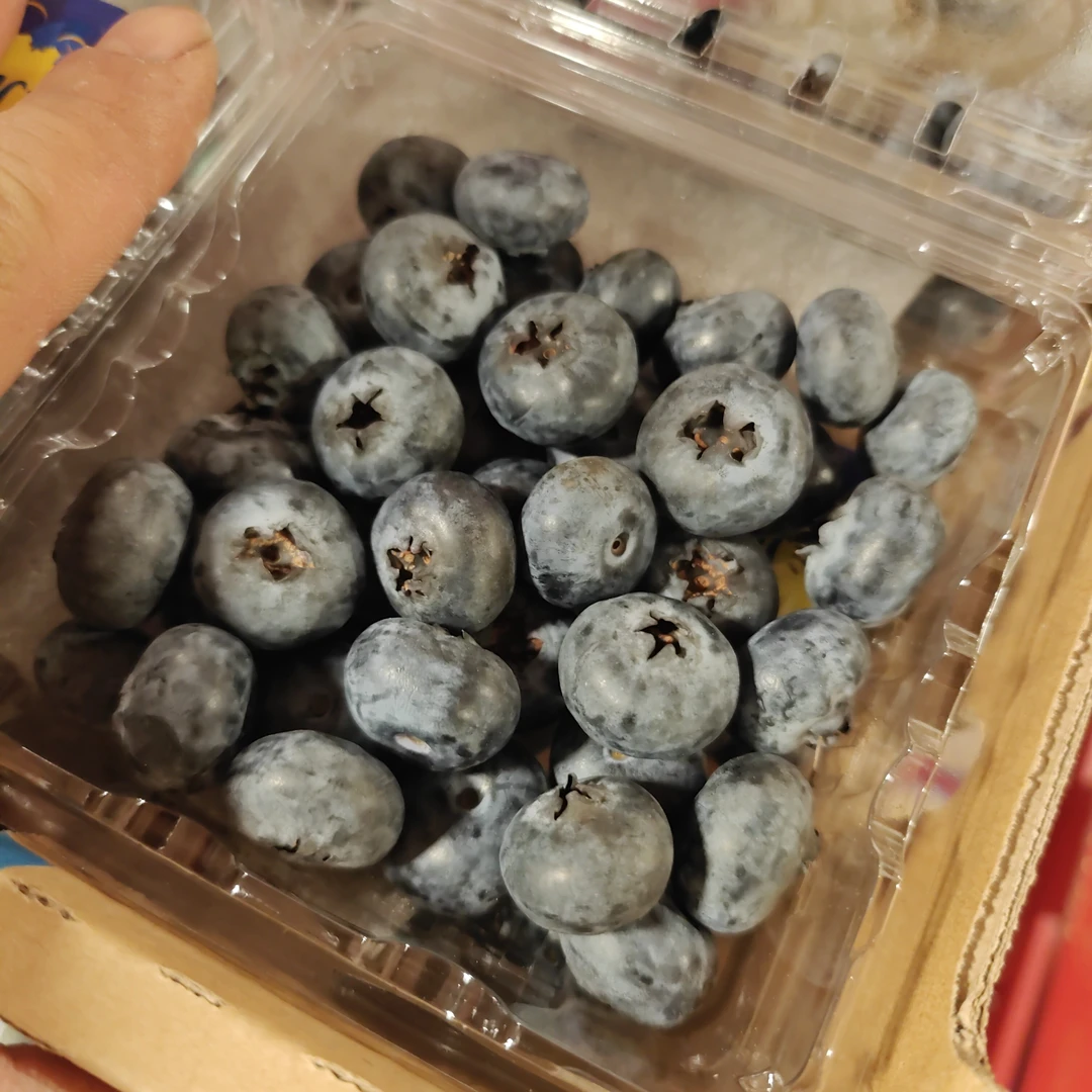 云南蓝莓。12盒净3斤14mm云南蓝莓云南省大理白族自治州