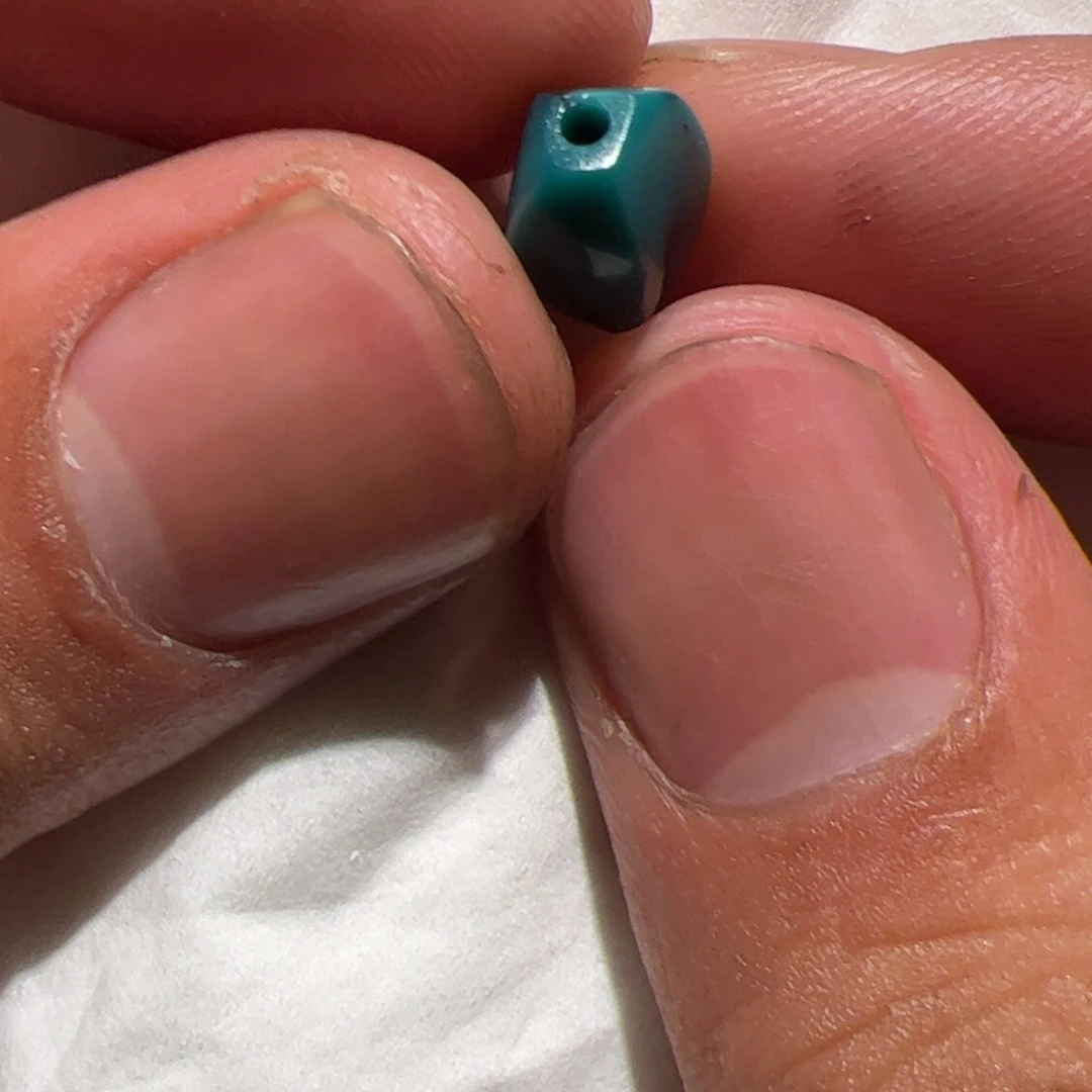 香榧木你的时候你