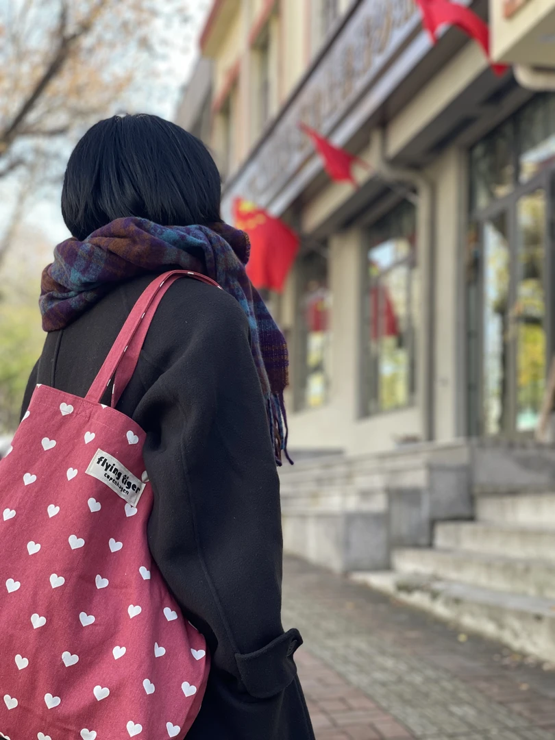 丹麦托特 时尚简约文艺帆布包