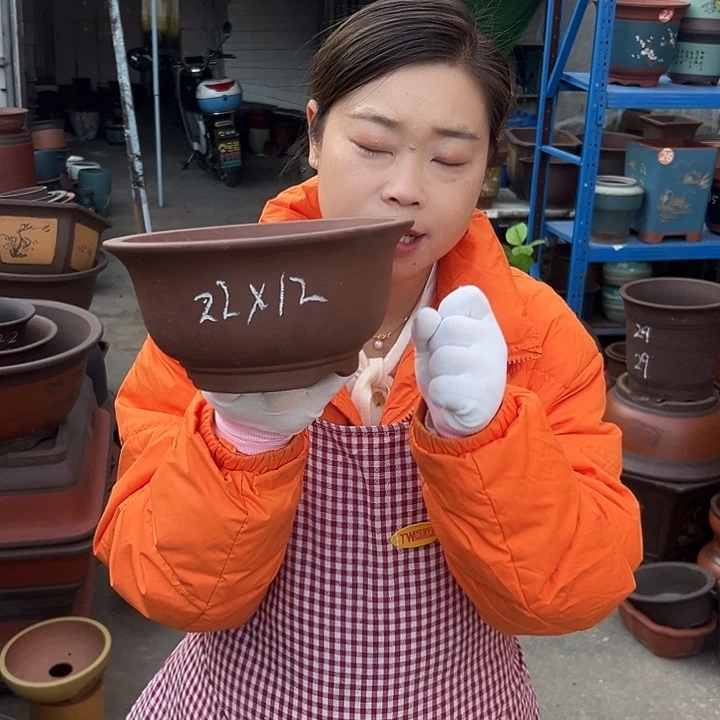 21茶林小碗盆花盆花盆花盆