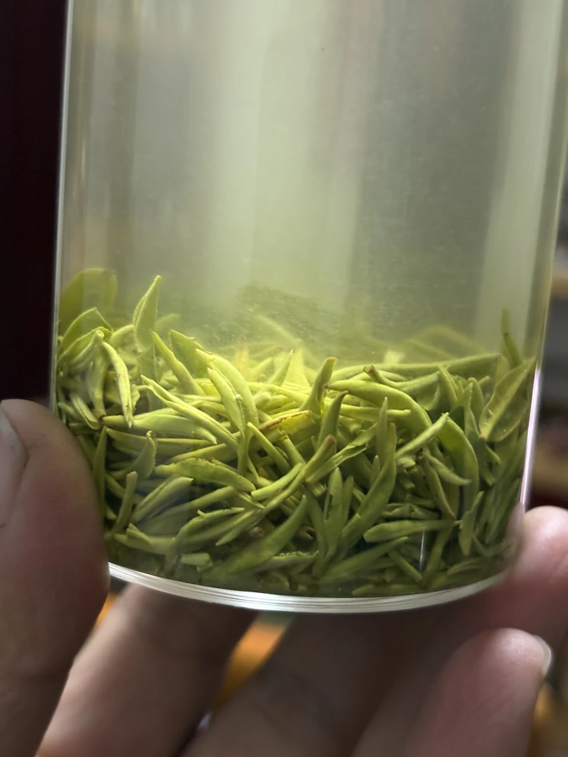 高山信阳毛尖小旱茶（小芽·碳焙）