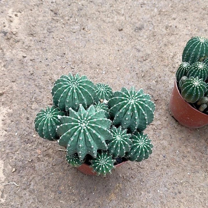 唯***一哈哈哈哈哈哈哈哈哈哈