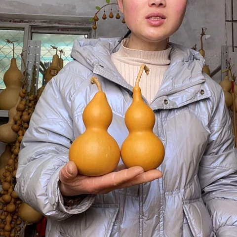 天然植物葫芦文玩