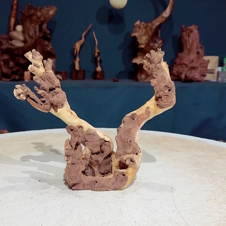 黑果木@*木719金丝红木羊蹄甲半成品