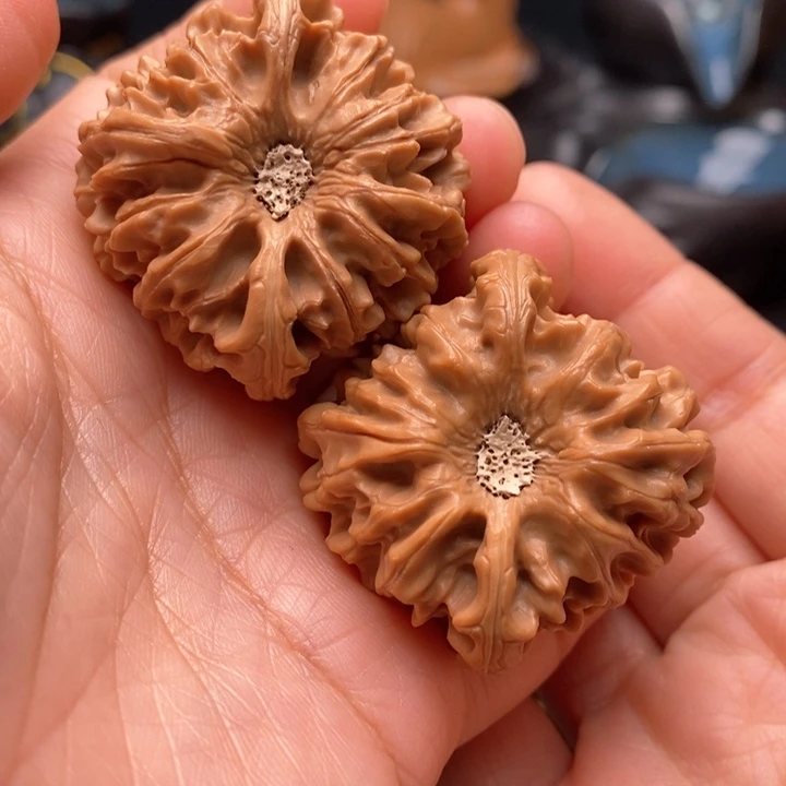 文玩核桃把件龙门41尺