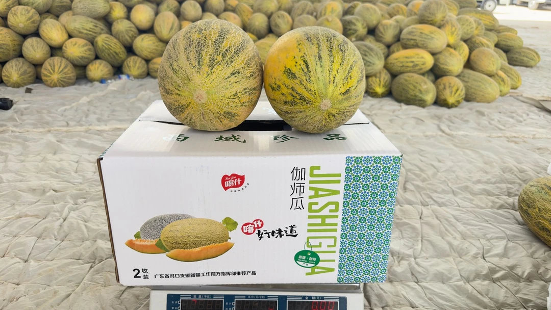 伽师瓜 原产地 八六王