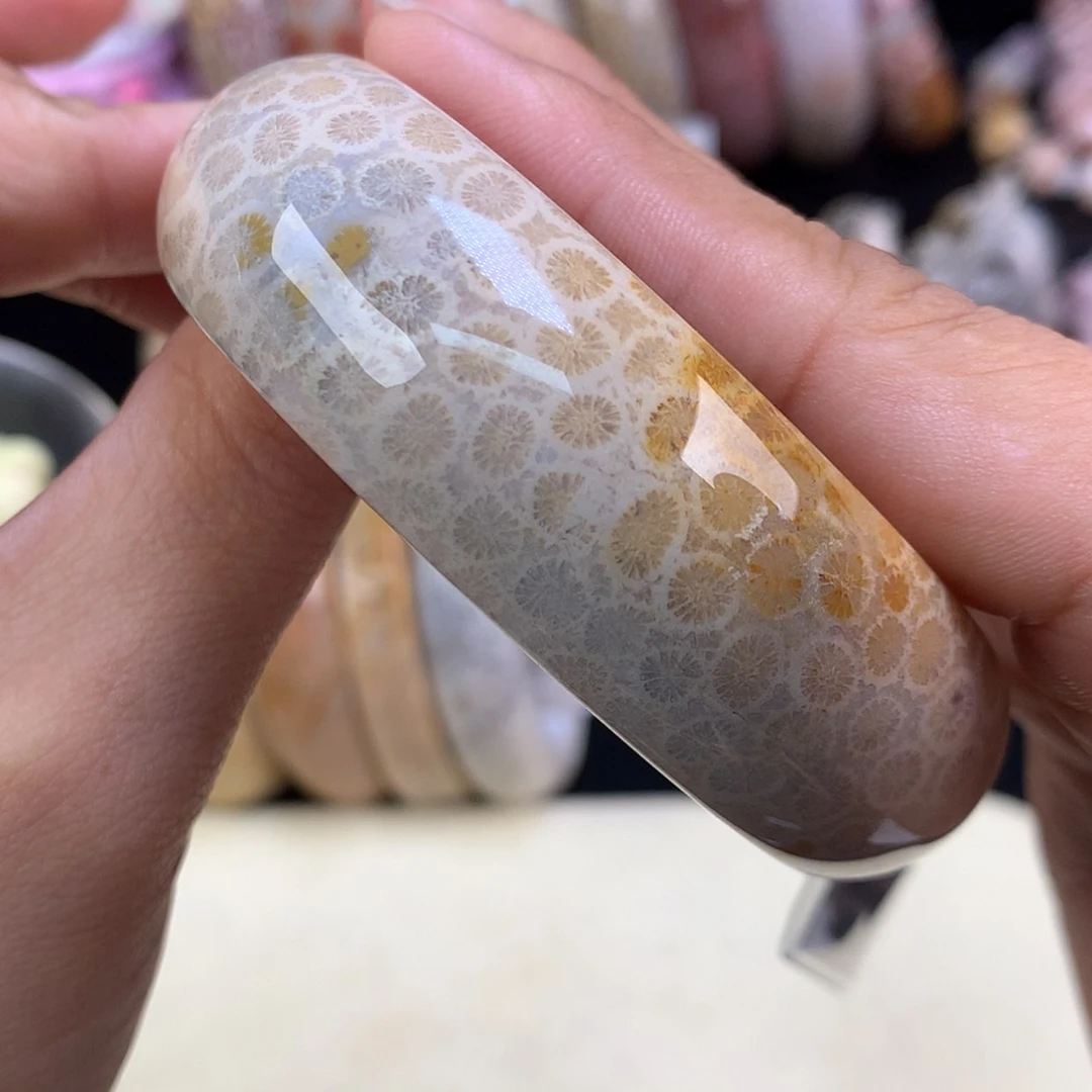 【闪购商品】颈饰未镶嵌硅化珊瑚（珊瑚玉）52号精美手镯57.5圈