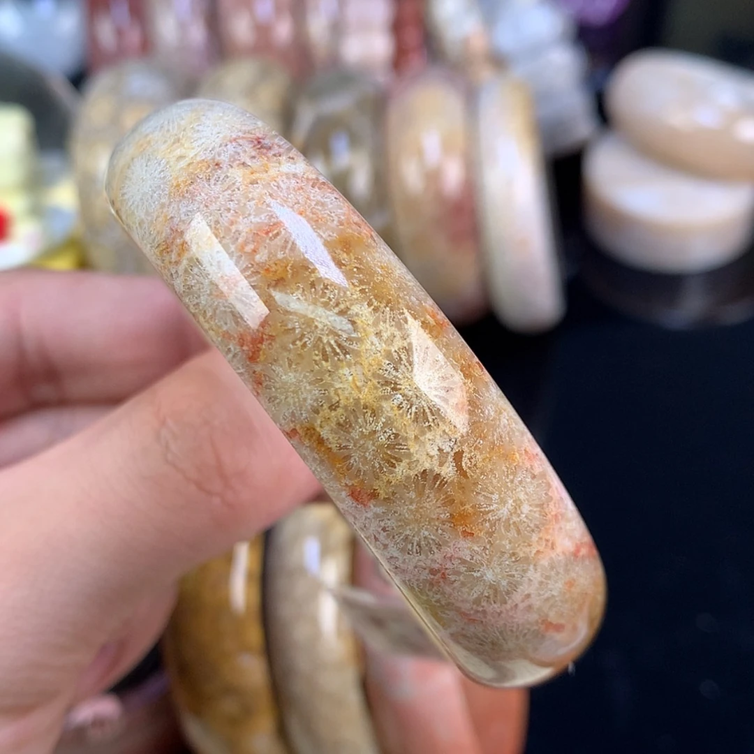 【闪购商品】颈饰未镶嵌硅化珊瑚（珊瑚玉）67号56.4圈彩大花花