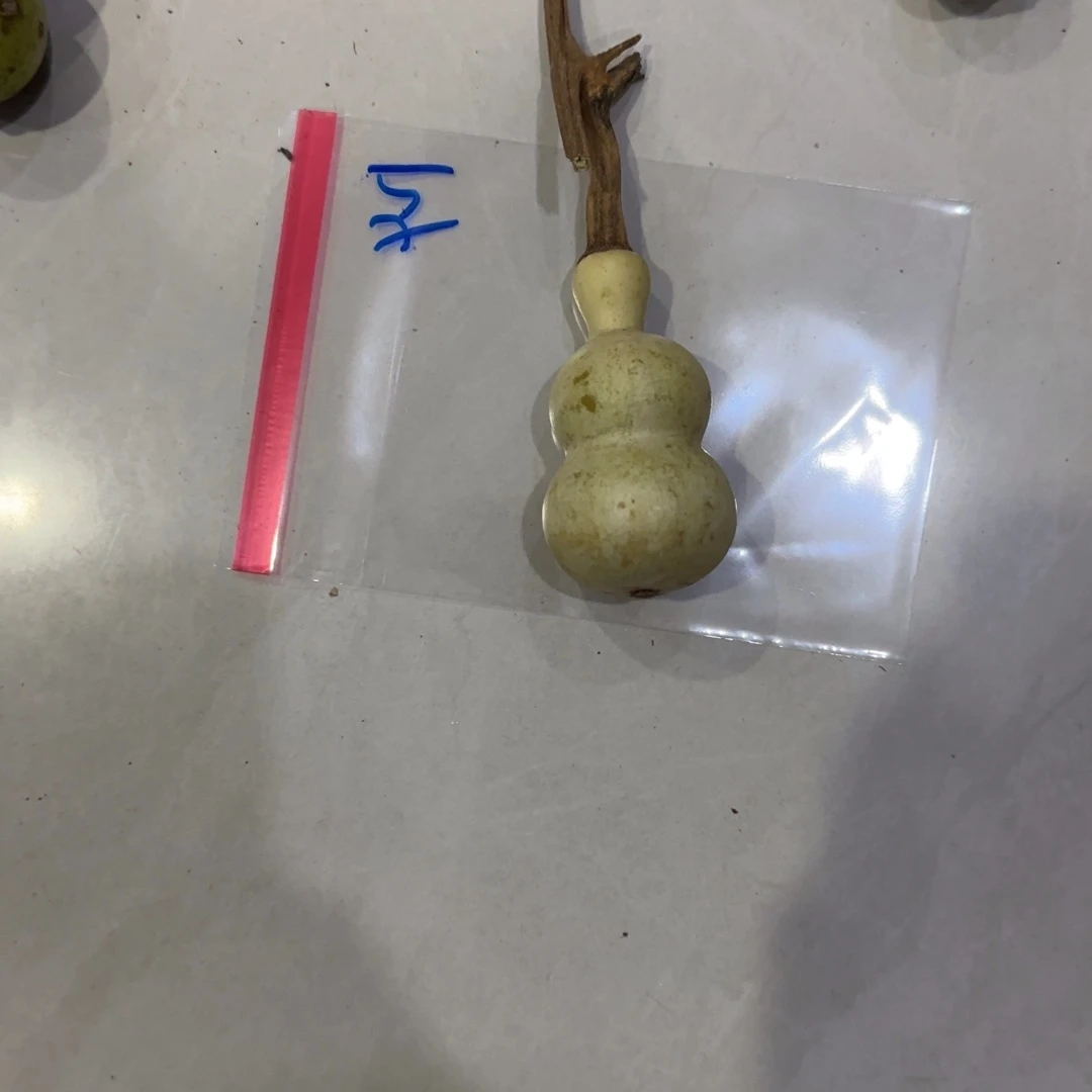 R***-青皮不包成青皮不包成